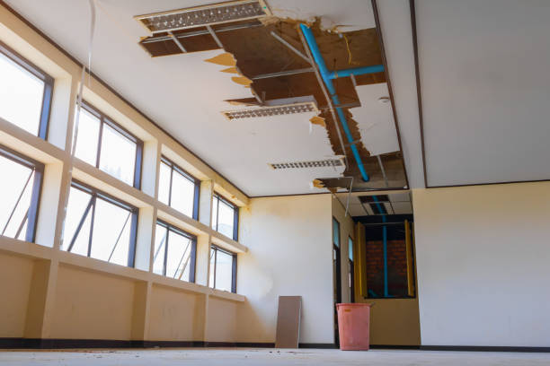 Best Water damage restoration specialists  in Veneta, OR