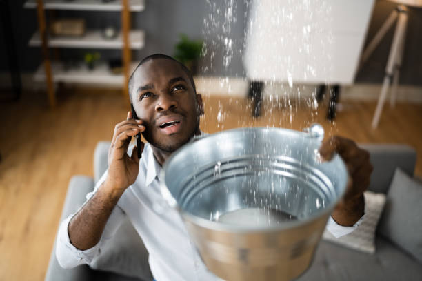 Best Residential water damage restoration  in Veneta, OR