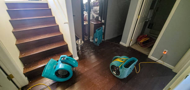 Best Water damage contractors near me  in Veneta, OR