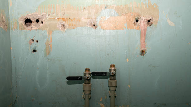 Best Ceiling water damage repair  in Veneta, OR