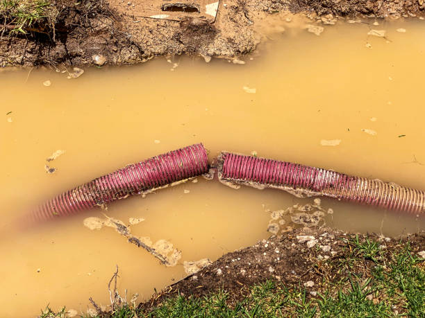 Reliable Veneta, OR Water damage restoration Solutions