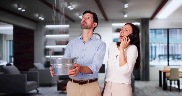 Best Water damage restoration near me  in Veneta, OR