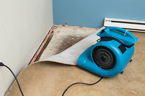 Best Local water damage restoration  in Veneta, OR
